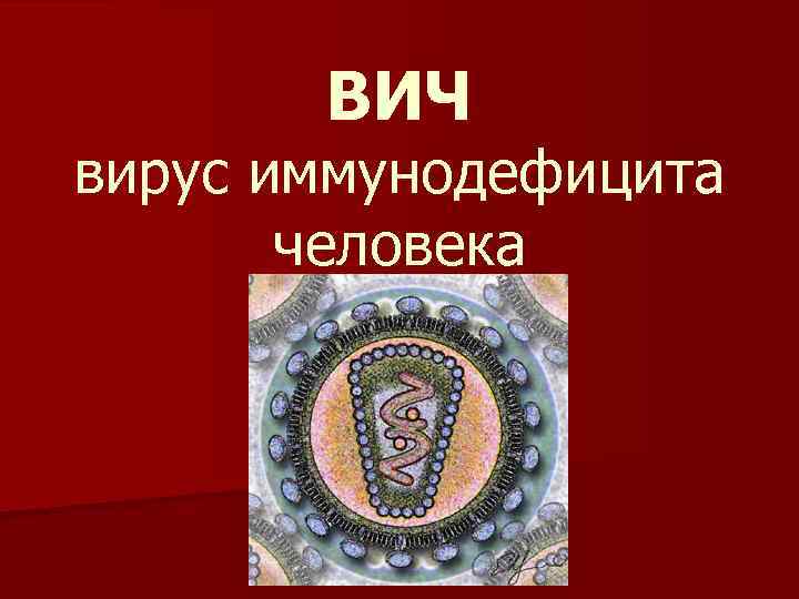 ВИЧ вирус иммунодефицита человека 