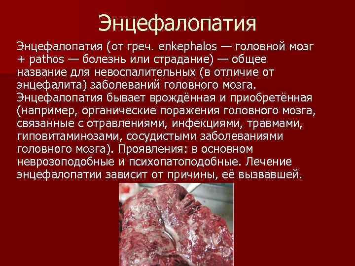 Энцефалопатия (от греч. enkephalos — головной мозг + pathos — болезнь или страдание) —