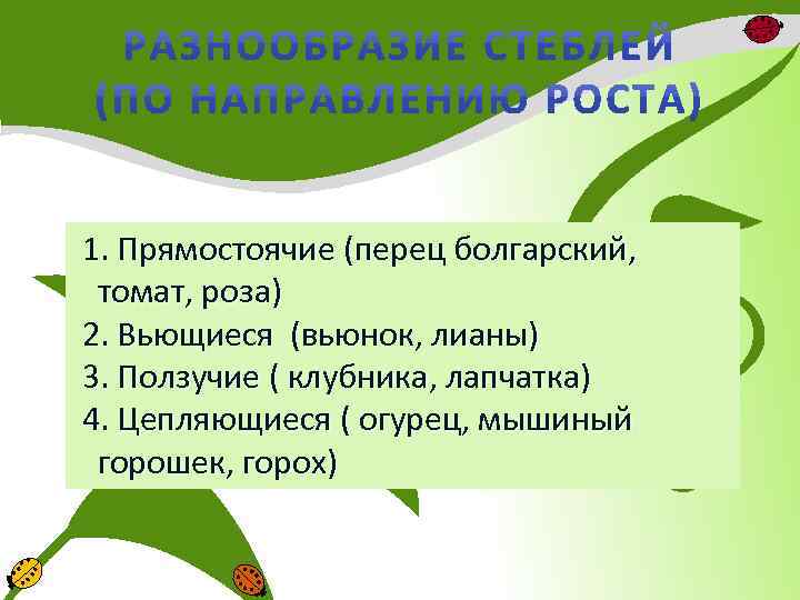 1. Прямостоячие (перец болгарский, томат, роза) 2. Вьющиеся (вьюнок, лианы) 3. Ползучие ( клубника,