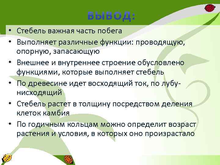 Выполняет опорную функцию. Какую функцию не выполняет побег. Структура листа выполняющая опорную и проводящую функции 5 букв.