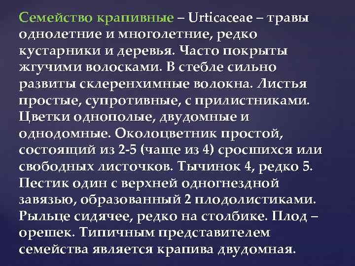 Семейство крапивные – Urticaceae – травы однолетние и многолетние, редко кустарники и деревья. Часто