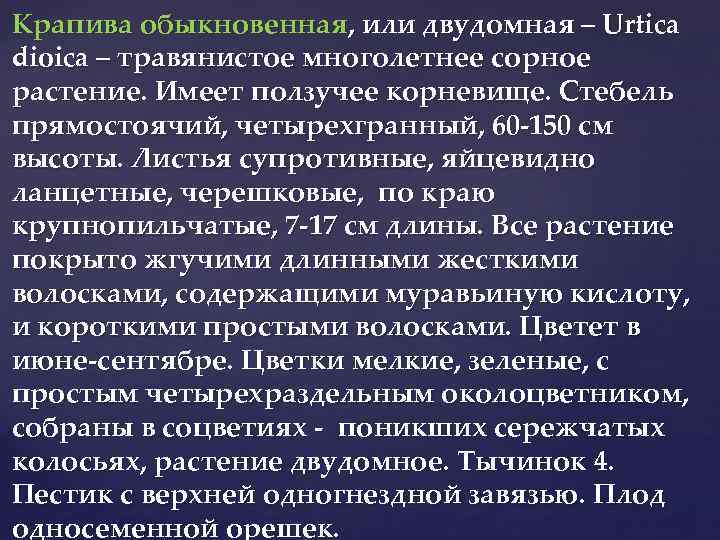 Крапива обыкновенная, или двудомная – Urtica dioica – травянистое многолетнее сорное растение. Имеет ползучее