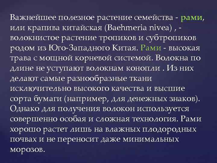 Важнейшее полезное растение семейства - рами, или крапива китайская (Baehmeria nivea) , волокнистое растение