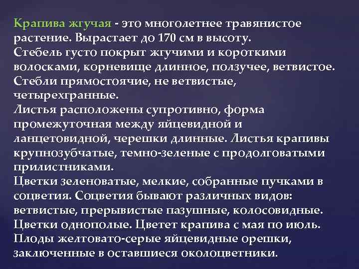 Крапива жгучая - это многолетнее травянистое растение. Вырастает до 170 см в высоту. Стебель