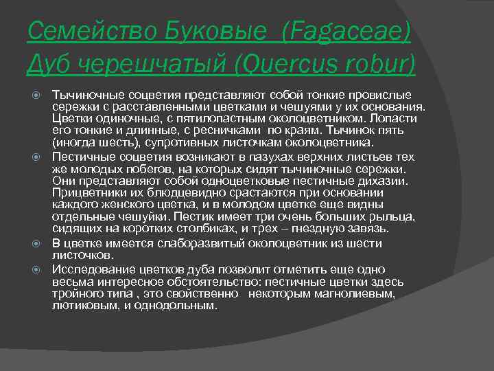 Семейство Буковые (Fagaceae) Дуб черешчатый (Quercus robur) Тычиночные соцветия представляют собой тонкие провислые сережки