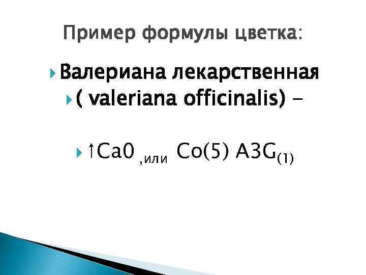 Пример формулы цветка: Валериана лекарственная ( valeriana officinalis) ↑Ca 0 , или Co(5) A