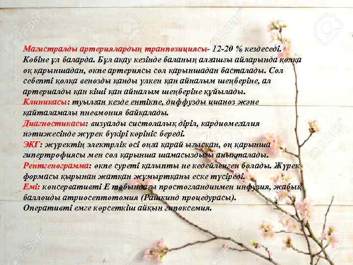 Магистралды артериялардың транпозициясы- 12 -20 % кездеседі. Көбіне ұл баларда. Бұл ақау кезінде баланың