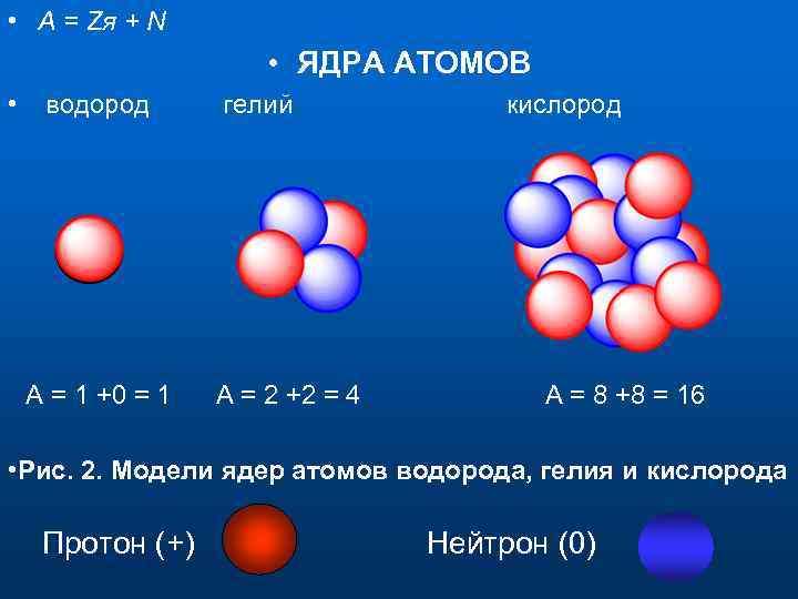  • А = Zя + N • ЯДРА АТОМОВ • водород А =