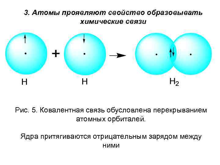 3. Атомы проявляют свойство образовывать химические связи Рис. 5. Ковалентная связь обусловлена перекрыванием атомных