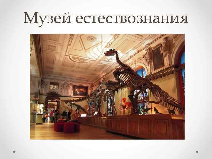 Музей естествознания 