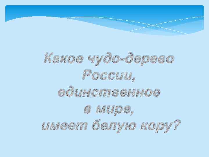 Какое чудо-дерево России, единственное в мире, имеет белую кору? 