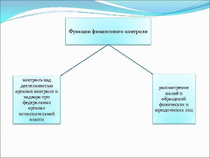 Функции финансового контроля контроль над деятельностью органов контроля и надзора при федеральных органах исполнительной