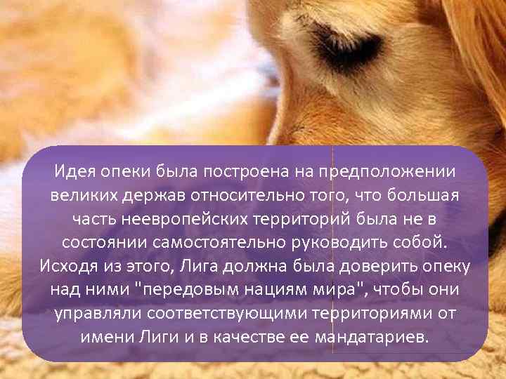 Идея опеки была построена на предположении великих держав относительно того, что большая часть неевропейских