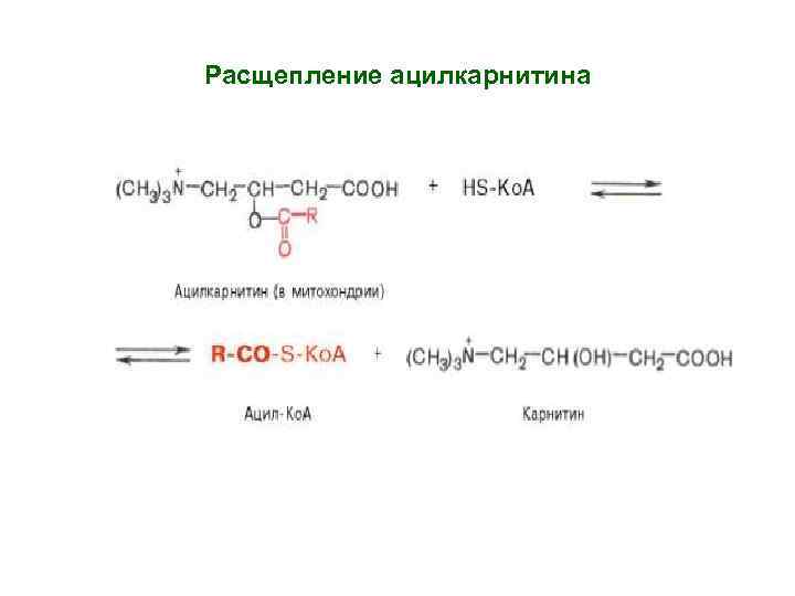 Расщепление ацилкарнитина 