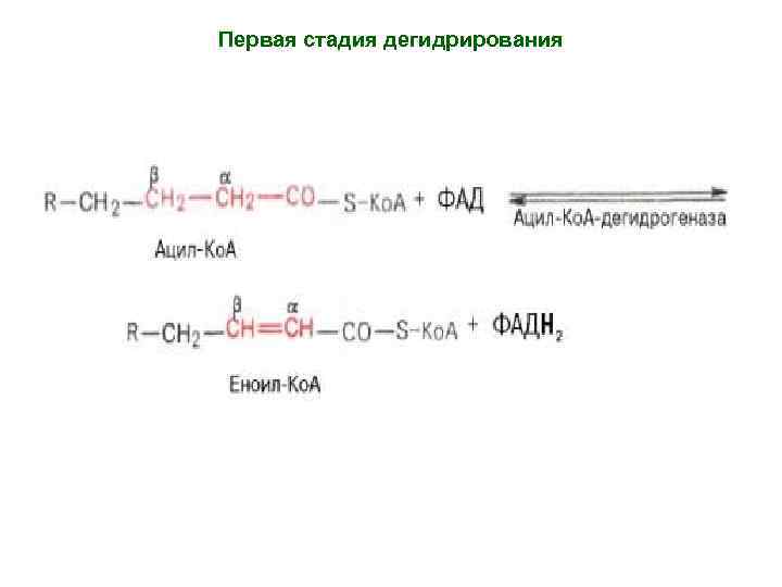 Первая стадия дегидрирования 