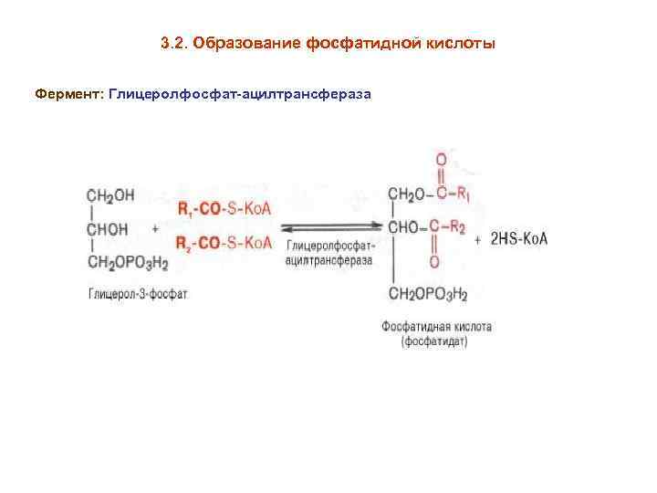 Фосфатидная кислота формула