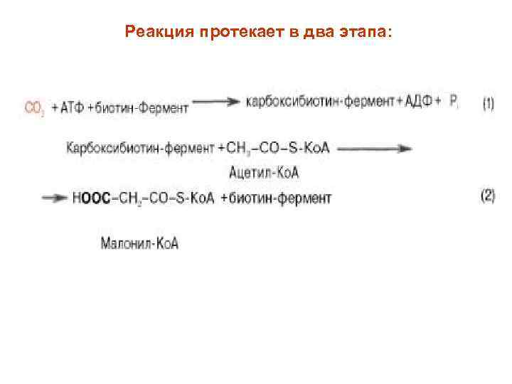 Реакция протекает в два этапа: 
