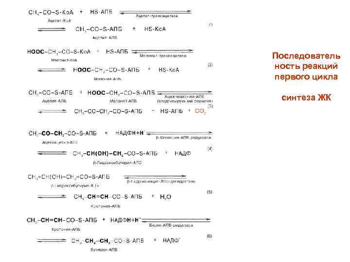 Последователь ность реакций первого цикла синтеза ЖК 