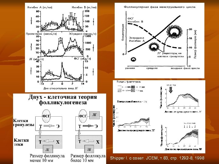 Shipper I. с соавт. JCEM, т. 83, стр. 1292 -8, 1998 