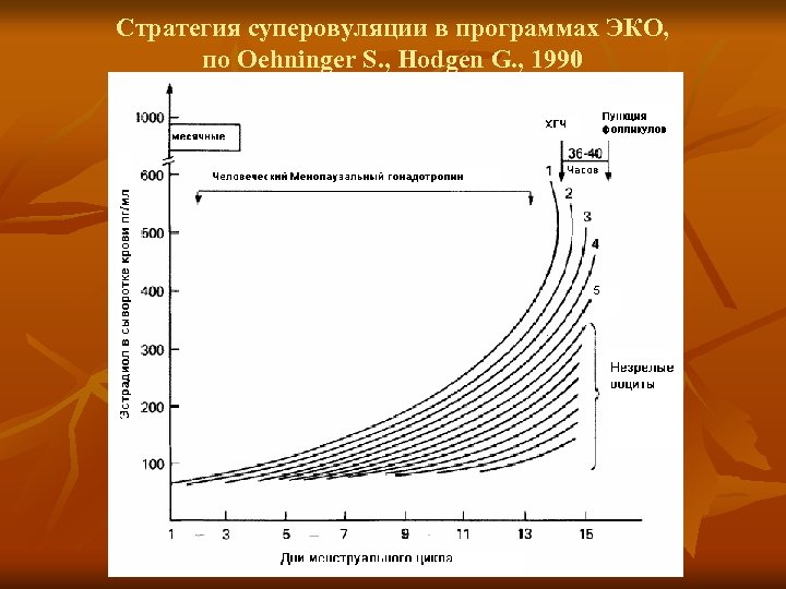 Стратегия суперовуляции в программах ЭКО, по Oehninger S. , Hodgen G. , 1990 