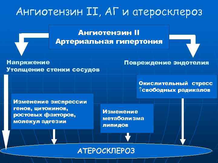 Ангиотензин II, АГ и атеросклероз Ангиотензин II Артериальная гипертония Напряжение Утолщение стенки сосудов Повреждение