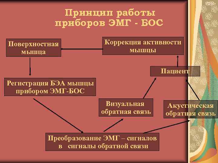 Принцип работы приборов ЭМГ - БОС Поверхностная мышца Коррекция активности мышцы Пациент Регистрация БЭА