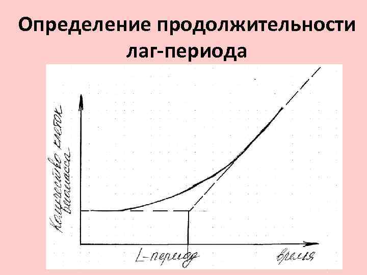 Определение продолжительности лаг-периода 