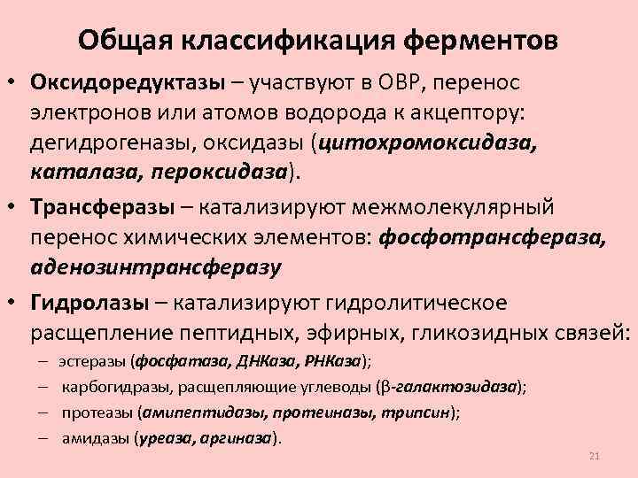 Общая классификация ферментов • Оксидоредуктазы – участвуют в ОВР, перенос электронов или атомов водорода