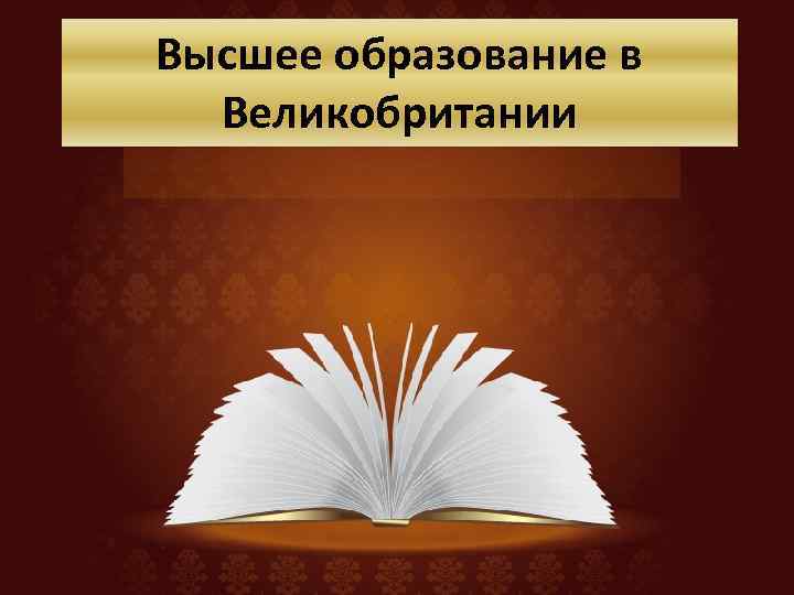 Высшее образование в Великобритании 