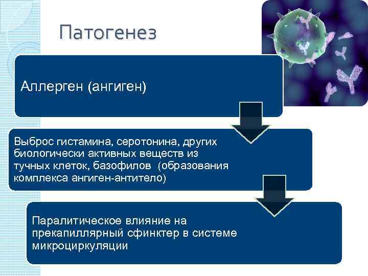 Патогенез Аллерген (ангиген) Выброс гистамина, серотонина, других биологически активных веществ из тучных клеток, базофилов