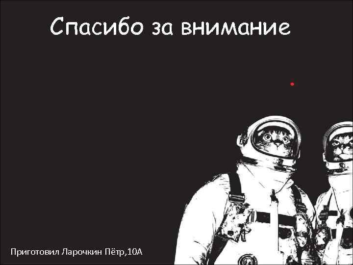 Спасибо за внимание Приготовил Ларочкин Пётр, 10 А 