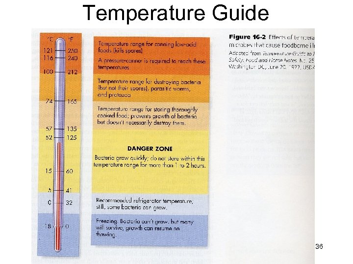 Temperature Guide 36 