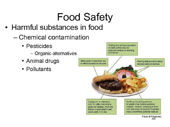 Food Safety • Harmful substances in food – Chemical contamination • Pesticides – Organic