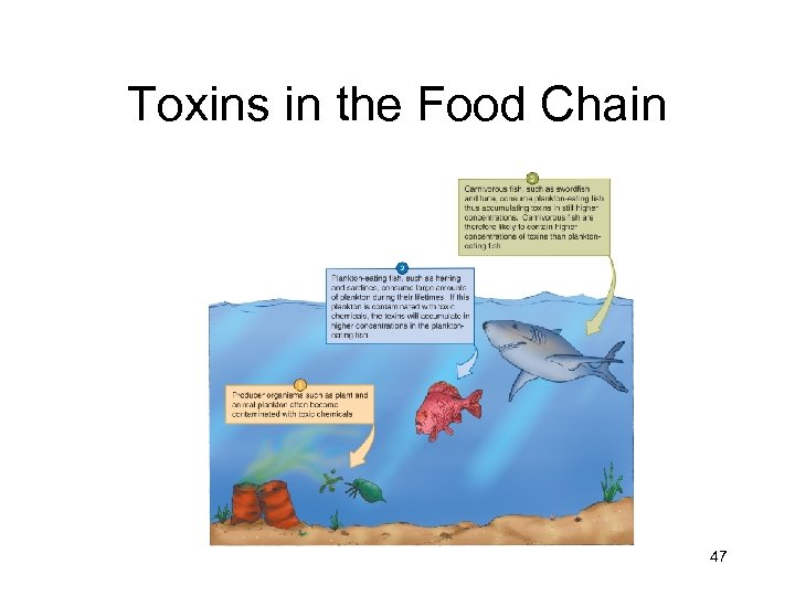 Toxins in the Food Chain 47 