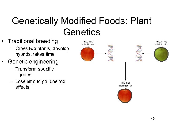 Genetically Modified Foods: Plant Genetics • Traditional breeding – Cross two plants, develop hybrids,