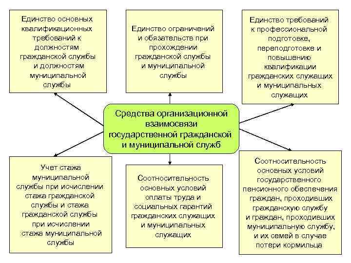 Единство основных квалификационных требований к должностям гражданской службы и должностям муниципальной службы Единство ограничений