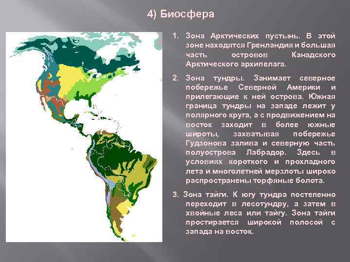 Самая большая природная зона северной америки. Географическое положение тундры в Северной Америке. Биосфера арктических пустынь. Положение тундры Северной Америки между параллелями. Географическое положение тундры на материке.