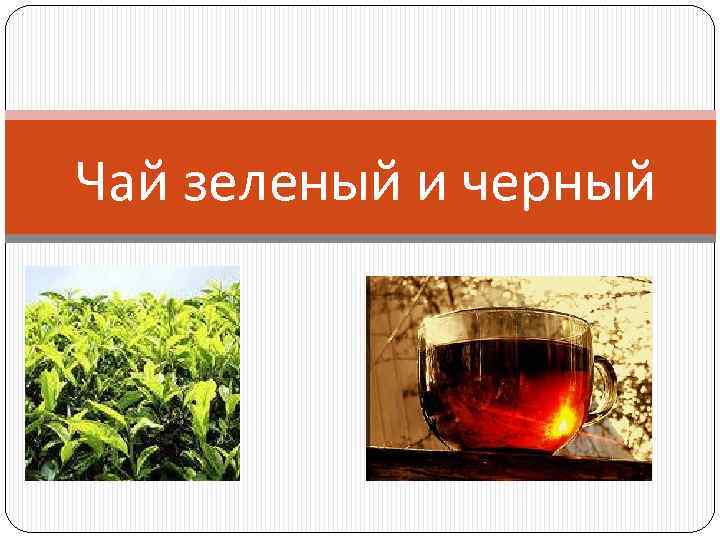 Чай зеленый и черный 