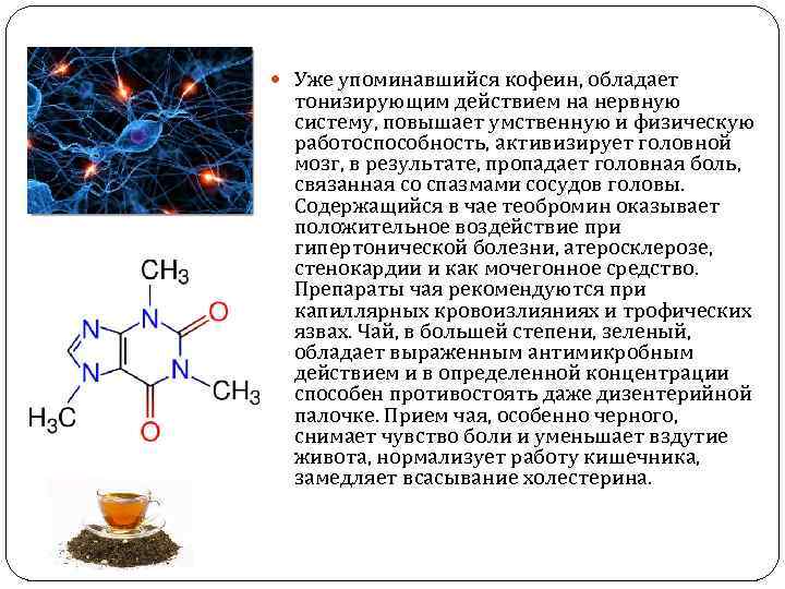  Уже упоминавшийся кофеин, обладает тонизирующим действием на нервную систему, повышает умственную и физическую