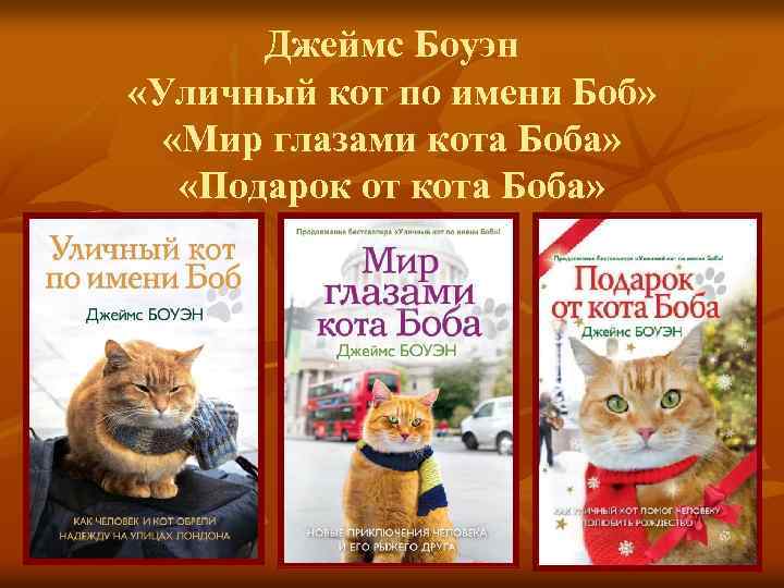 Джеймс Боуэн «Уличный кот по имени Боб» «Мир глазами кота Боба» «Подарок от кота