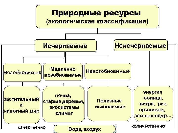 Природные ресурсы (экологическая классификация) Неисчерпаемые Исчерпаемые Медленно Невозобновимые Возобновимые возобновимые почва, растительный старые деревья,