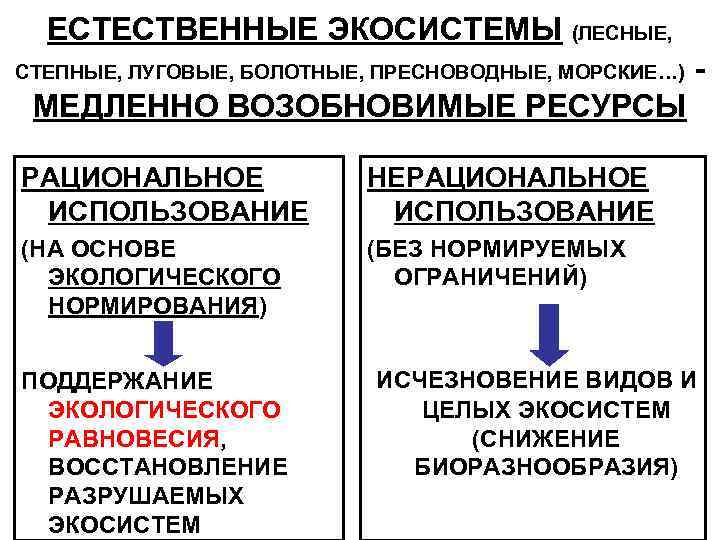 ЕСТЕСТВЕННЫЕ ЭКОСИСТЕМЫ (ЛЕСНЫЕ, СТЕПНЫЕ, ЛУГОВЫЕ, БОЛОТНЫЕ, ПРЕСНОВОДНЫЕ, МОРСКИЕ…) - МЕДЛЕННО ВОЗОБНОВИМЫЕ РЕСУРСЫ РАЦИОНАЛЬНОЕ ИСПОЛЬЗОВАНИЕ
