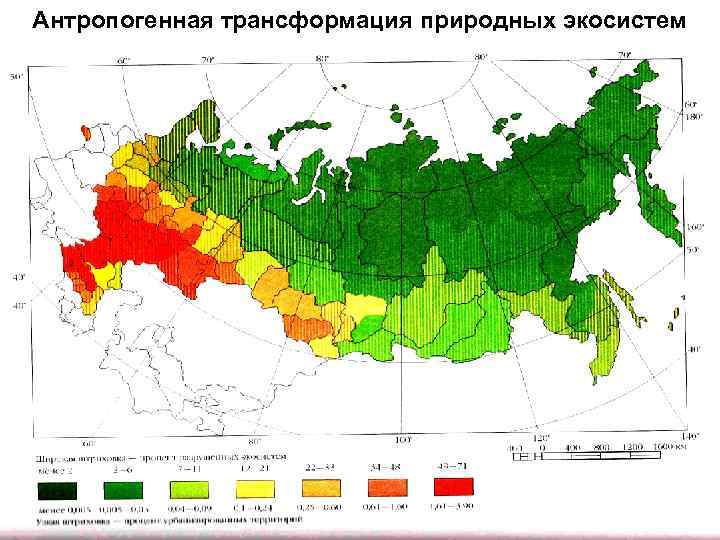 Антропогенная трансформация природных экосистем 
