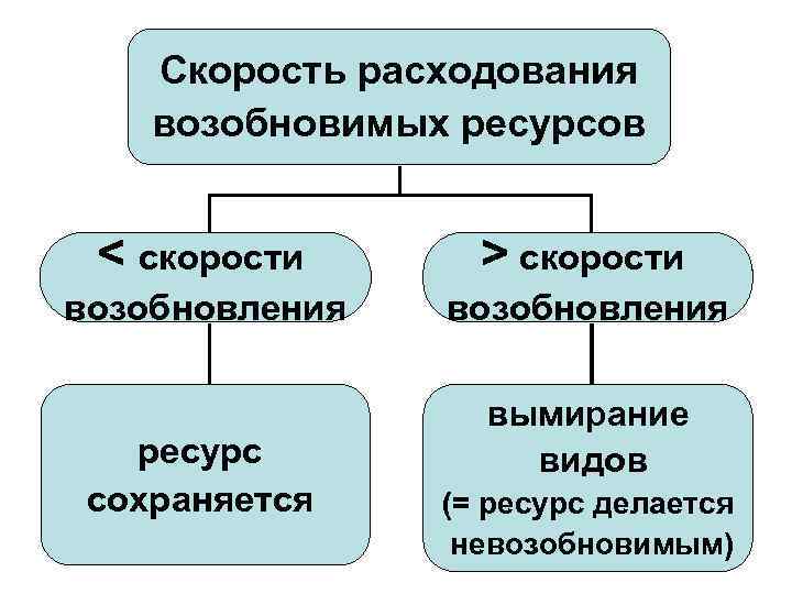 Скорость расходования возобновимых ресурсов < скорости > скорости возобновления ресурс сохраняется вымирание видов (=