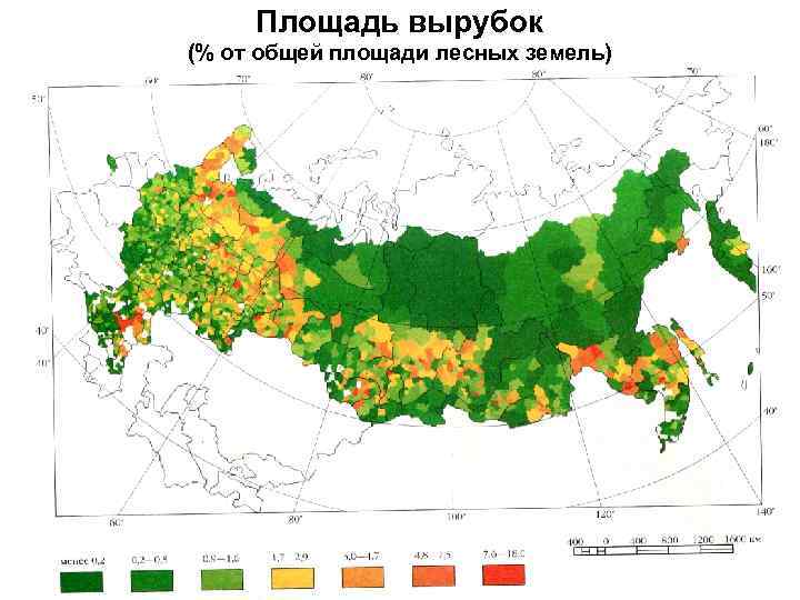 Площадь вырубок (% от общей площади лесных земель) 