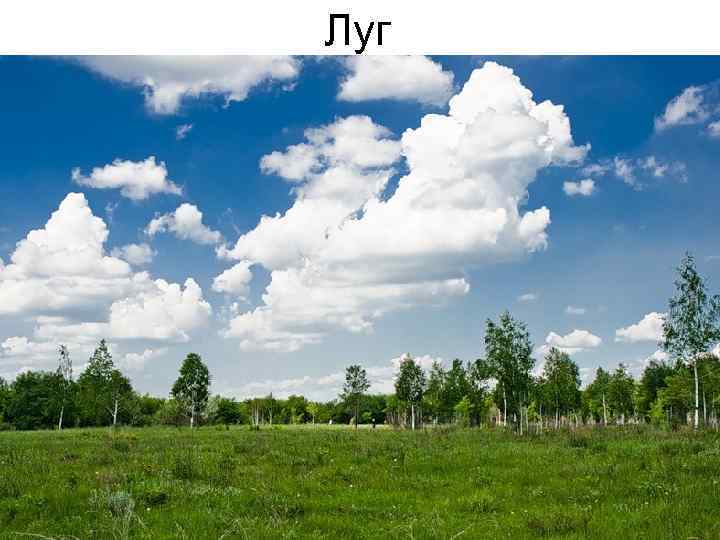 Луг 