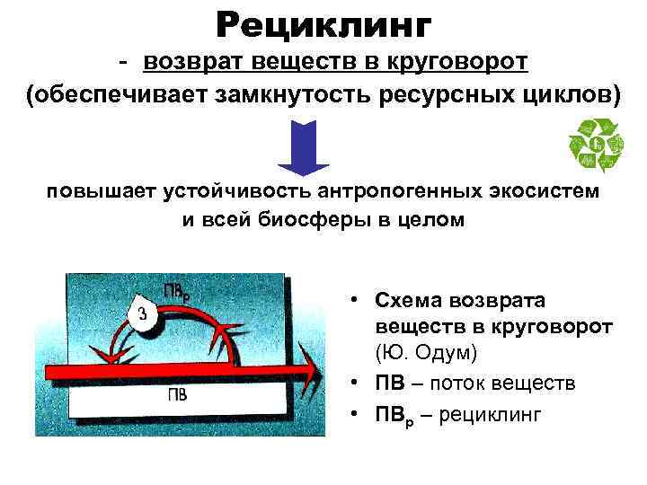 Рециклинг - возврат веществ в круговорот (обеспечивает замкнутость ресурсных циклов) повышает устойчивость антропогенных экосистем