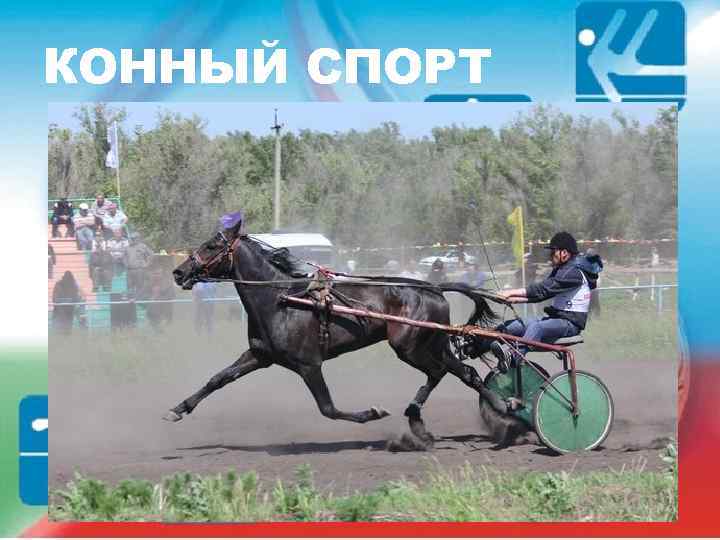 КОННЫЙ СПОРТ 