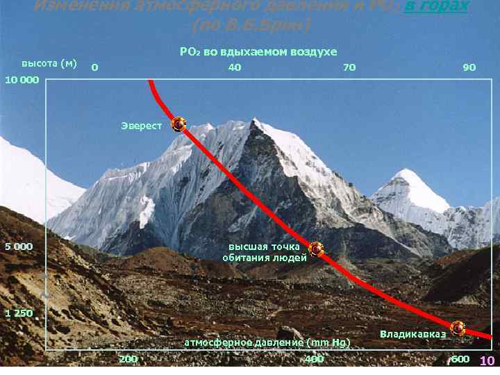 Изменения атмосферного давления и РО 2 в горах (по В. Б. Брин) высота (м)