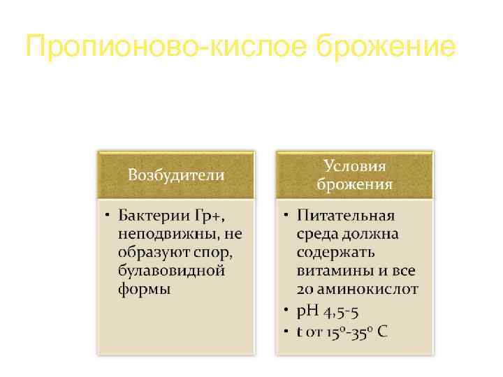 Пропионово-кислое брожение Это процесс расщепления сахара до пропионовой и уксусной кислот с образованием углекислого
